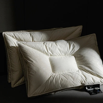 95% Ganzendons Dubbellaags Kussens